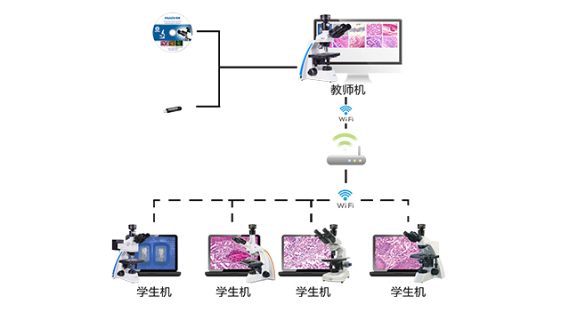 互动教学