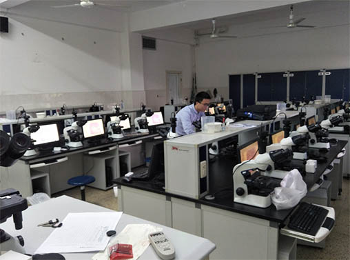 生物显微镜互动教学系统.jpg 生物显微镜互动教学系统.jpg