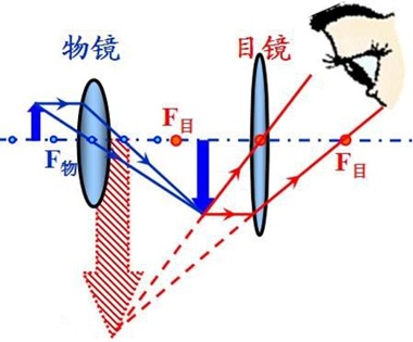 【科普】显微镜基础知识一