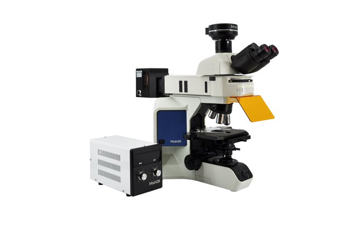 MF43-N.png MF43-N.png