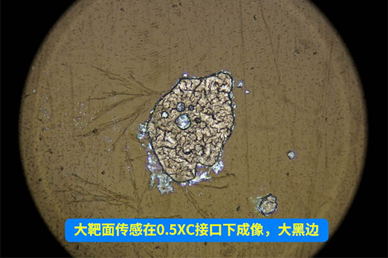 显微镜相机_6.jpg