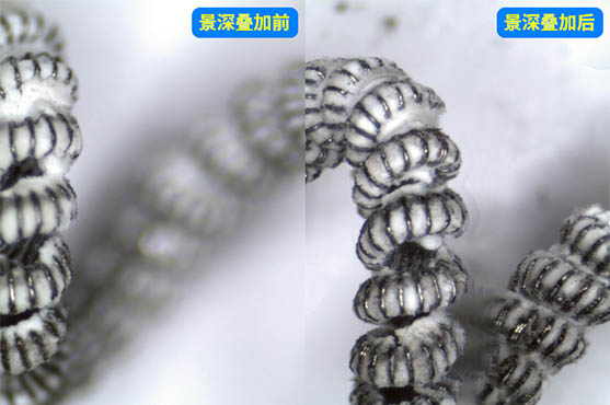 显微镜相机-12.jpg