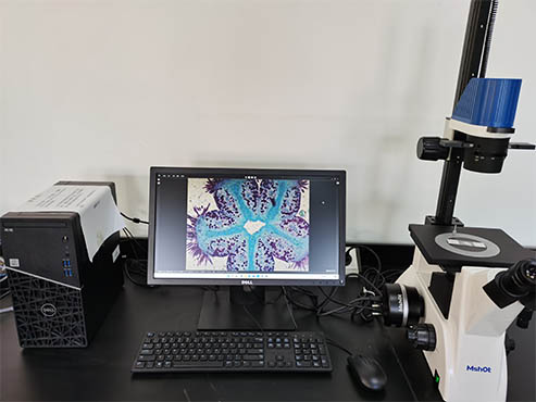 高速相机MS16-H.jpg 高速相机MS16-H.jpg