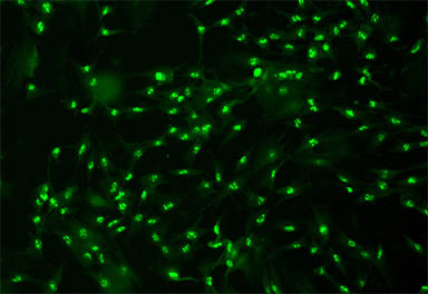 高速相机MS16-H1.jpg 高速相机MS16-H1.jpg