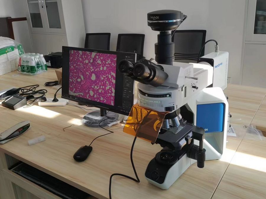 BG_Fluo_01.jpg BG_Fluo_01.jpg