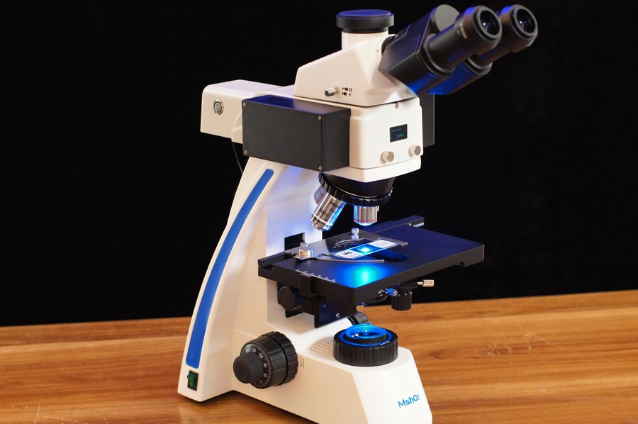 BG_Fluo_03b.jpg BG_Fluo_03b.jpg