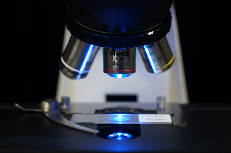 BG_Fluo_06s.jpg BG_Fluo_06s.jpg