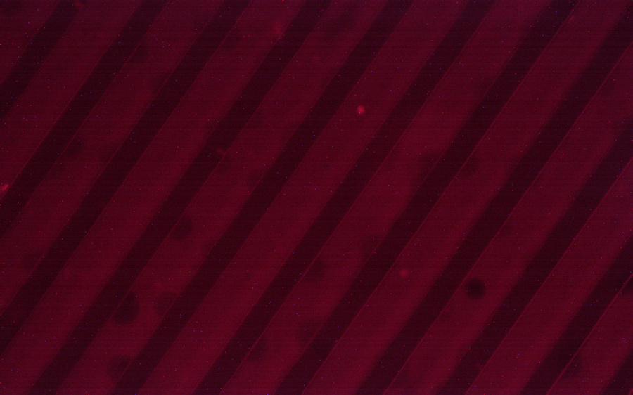 BG_Fluo_12.jpg BG_Fluo_12.jpg