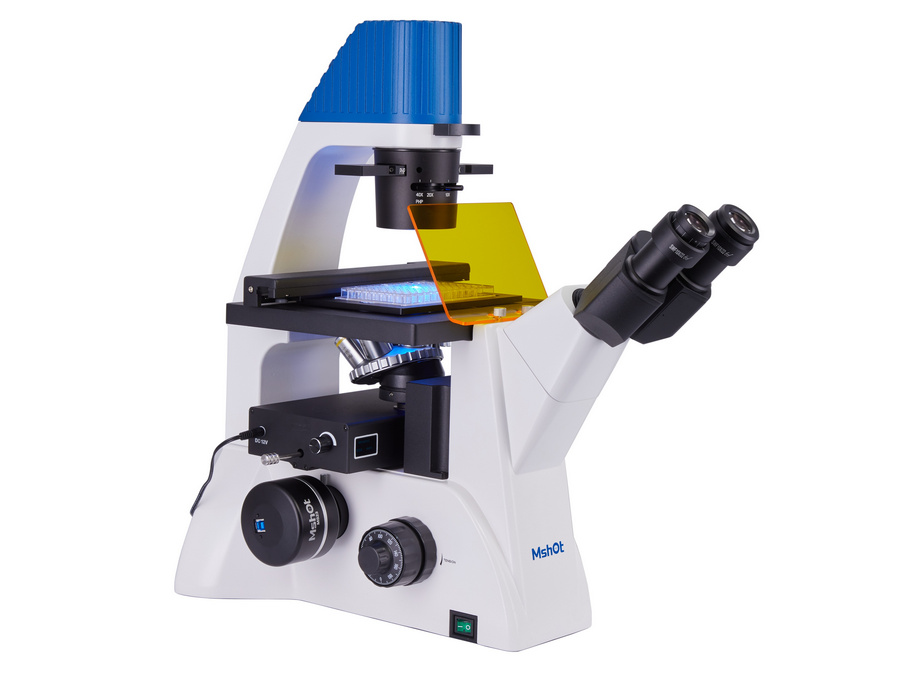 BG_Fluo_14.jpg BG_Fluo_14.jpg