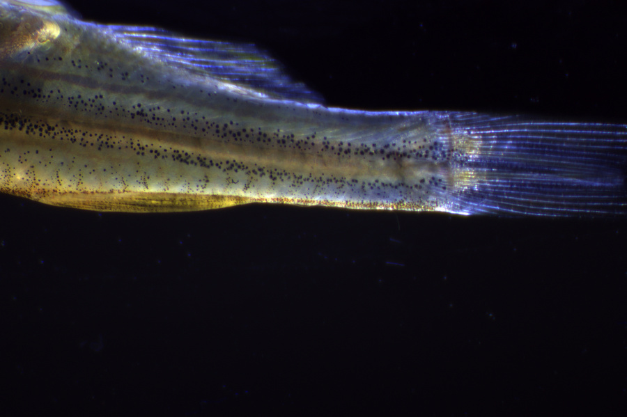 Notice_05.jpg Notice_05.jpg