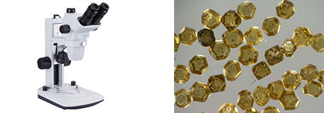 体视显微镜.jpg 体视显微镜.jpg