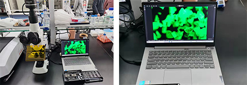 荧光显微镜.jpg 荧光显微镜.jpg