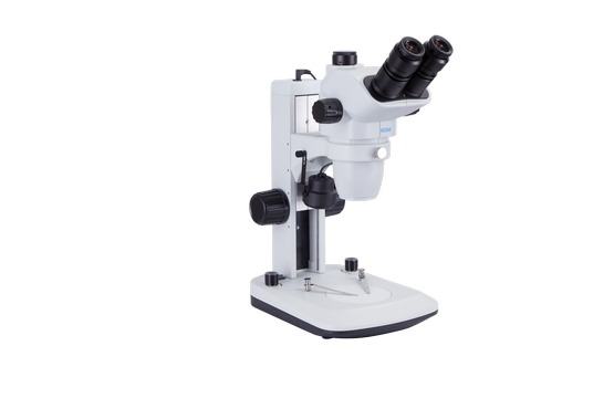 显微镜下的耳蜗_2.jpg 显微镜下的耳蜗_2.jpg