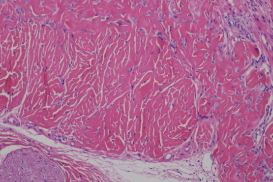 生物显微镜ML31_3.jpg