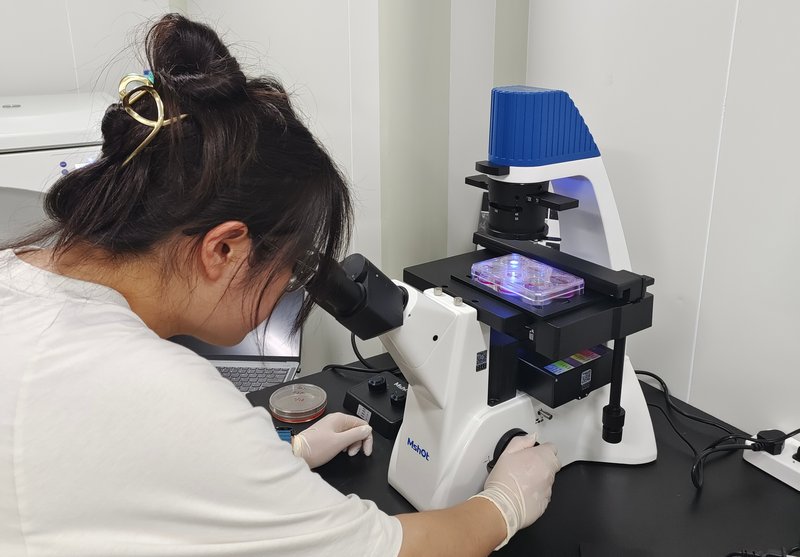 01_InvFluo_MF52-N12.jpg 01_InvFluo_MF52-N12.jpg