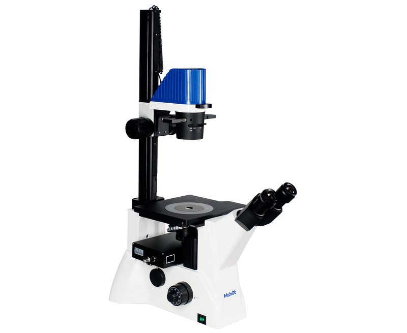 02_InvFluo__DSC9077.jpg 02_InvFluo__DSC9077.jpg