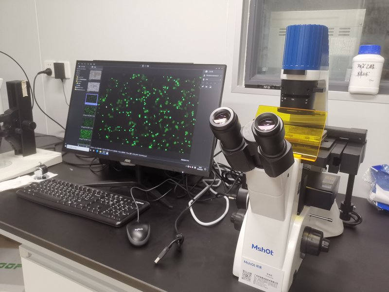 03_InvFluo_湘雅医院神经内科细胞实验室MF52-N+MS23 -2.jpg 03_InvFluo_湘雅医院神经内科细胞实验室MF52-N+MS23 -2.jpg