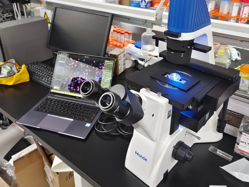 04_InvFluo_MF52-N细胞.jpg 04_InvFluo_MF52-N细胞.jpg