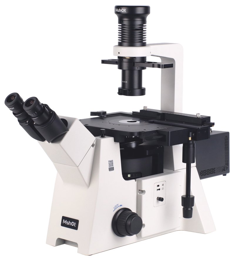 07_InvFluo_IMG_1647c.jpg 07_InvFluo_IMG_1647c.jpg