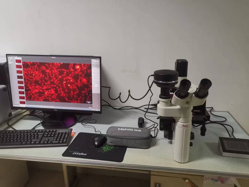 09_InvFluo_某高校医学院MG-120+MSX11-C匹配徕卡DMIL2.jpg 09_InvFluo_某高校医学院MG-120+MSX11-C匹配徕卡DMIL2.jpg