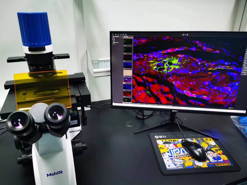 10_InvFluo_MF52-N+MS60-3.jpg 10_InvFluo_MF52-N+MS60-3.jpg