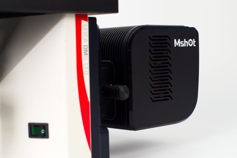 15_InvFluo_DMIL_04.jpg 15_InvFluo_DMIL_04.jpg