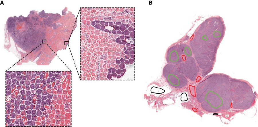 Pathology_01.jpg