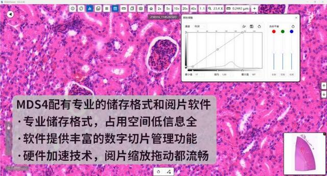 图片11.jpg