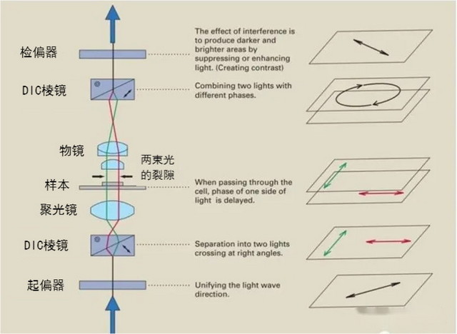 02DIC_图片1.jpg