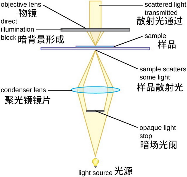 02DF_02_DF暗场光路.jpg