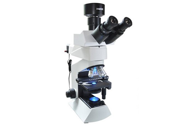 LED荧光显微镜在间接免疫荧光中的应用