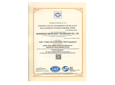 ISO9001:2015英文体系认证
