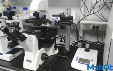 倒置荧光显微镜MF52在深圳大学推动显微注射法发展