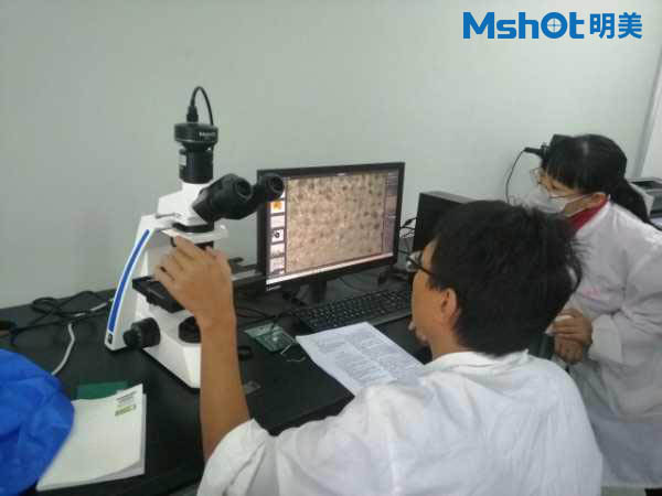 用于中药检测的偏光显微镜