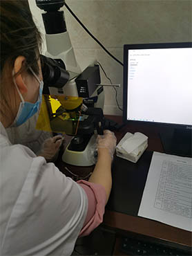 明美荧光显微镜用于生物样品观察