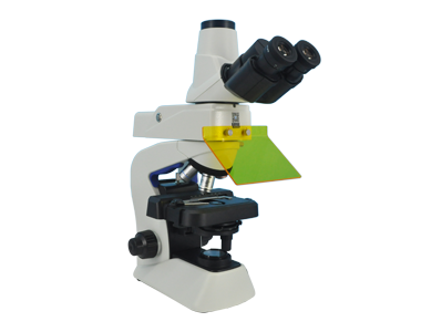荧光生物显微镜MF23-M