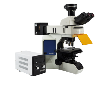 光学显微镜技术和应用简介