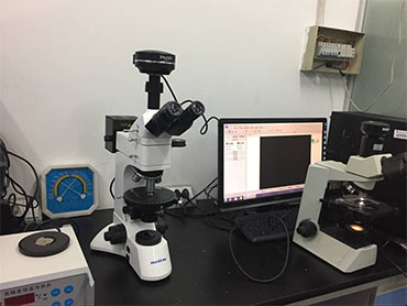 偏光显微镜在检测淀粉中的应用