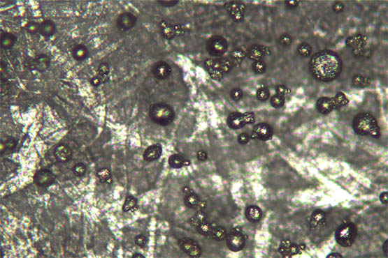 明美倒置金相显微镜用户金属微球观察