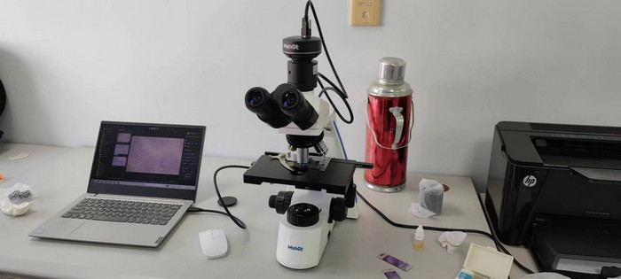 生物显微镜下的神奇世界:胰岛素晶体涂片观察笔记