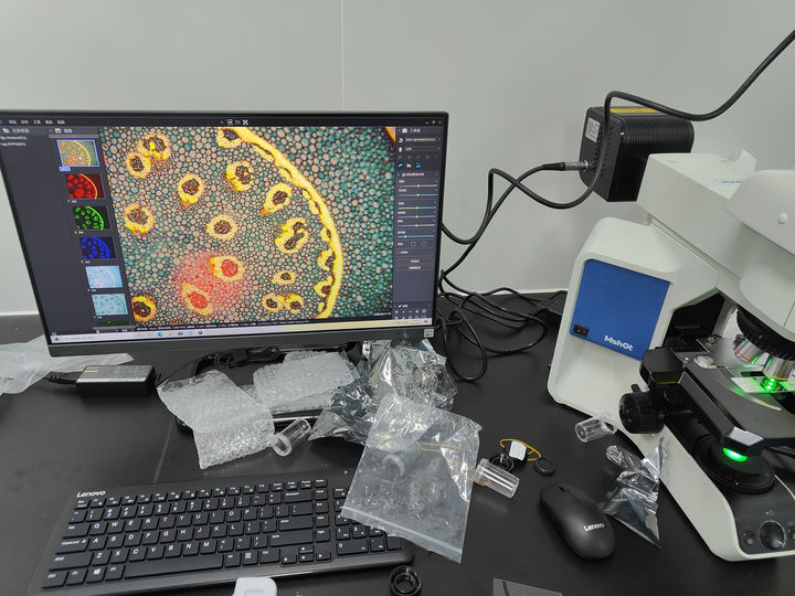 研究级荧光显微镜应用于聚诱导发光物质样品的观察