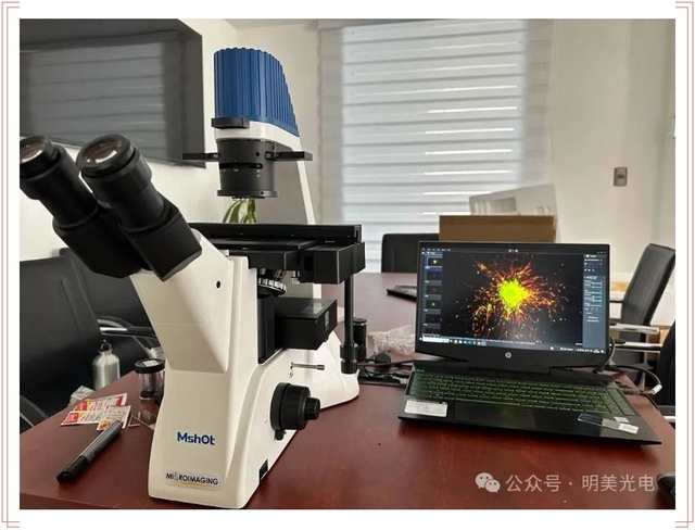 智利神经科学研究迎新利器，MF52-N倒置荧光显微镜助力突破