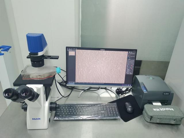 Mshot明美倒置显微镜应用于细胞观察