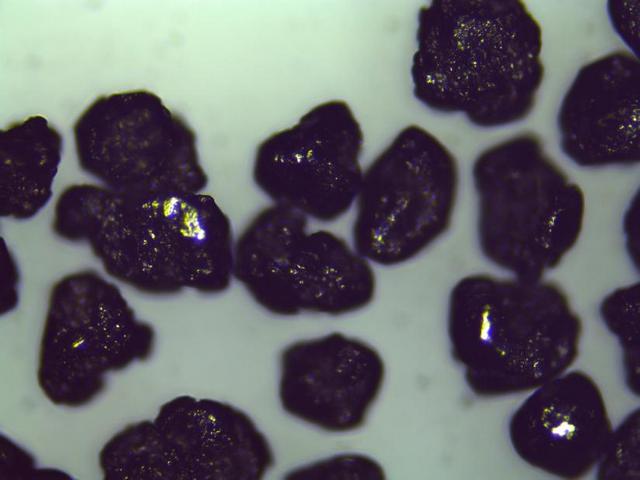 Mshot明美金相显微镜MJ31，金属粉末微观世界的清晰成像