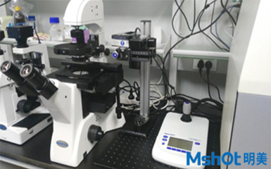 倒置荧光显微镜在深圳大学大放异彩推动显微注射法发展