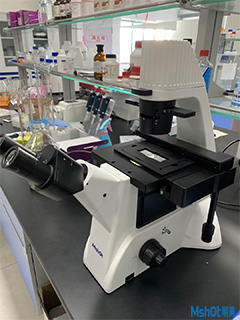 明美倒置显微镜呼吸研究所癌细胞检测.jpg