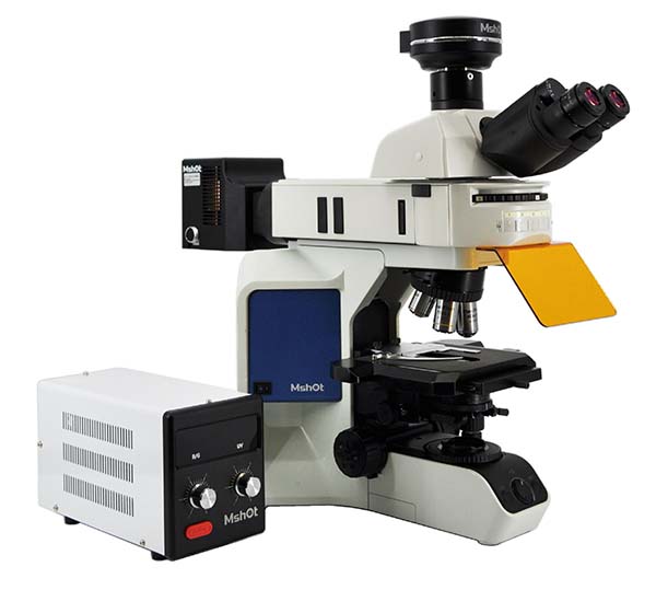 明美荧光显微镜应用于食品检测3.jpg