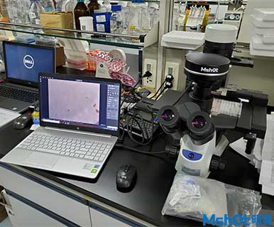 显微镜相机MSX11应用于深圳市第三人民医院肝病研究所活细胞检测1.jpg