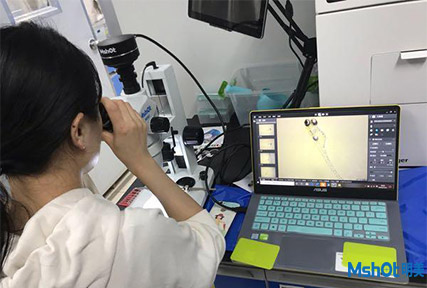 明美显微镜相机助力厦门大学环境与生物工程斑马鱼观察2.jpg