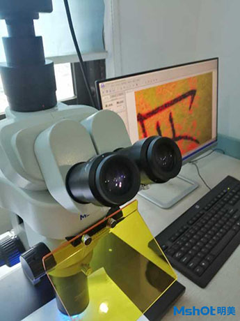 明美体视荧光显微镜应用于朱墨时序鉴定2.jpg